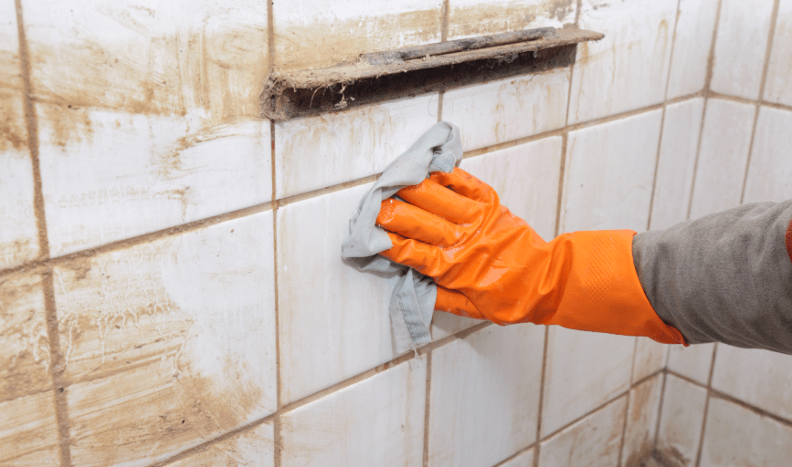FIST Cleaning Services